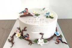 reveal-cake-birdes
